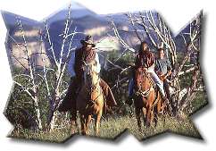 Horseback Riding Tours