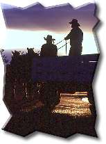 Zion Horseback Riding Tours