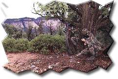 Zion Horseback Riding Tours